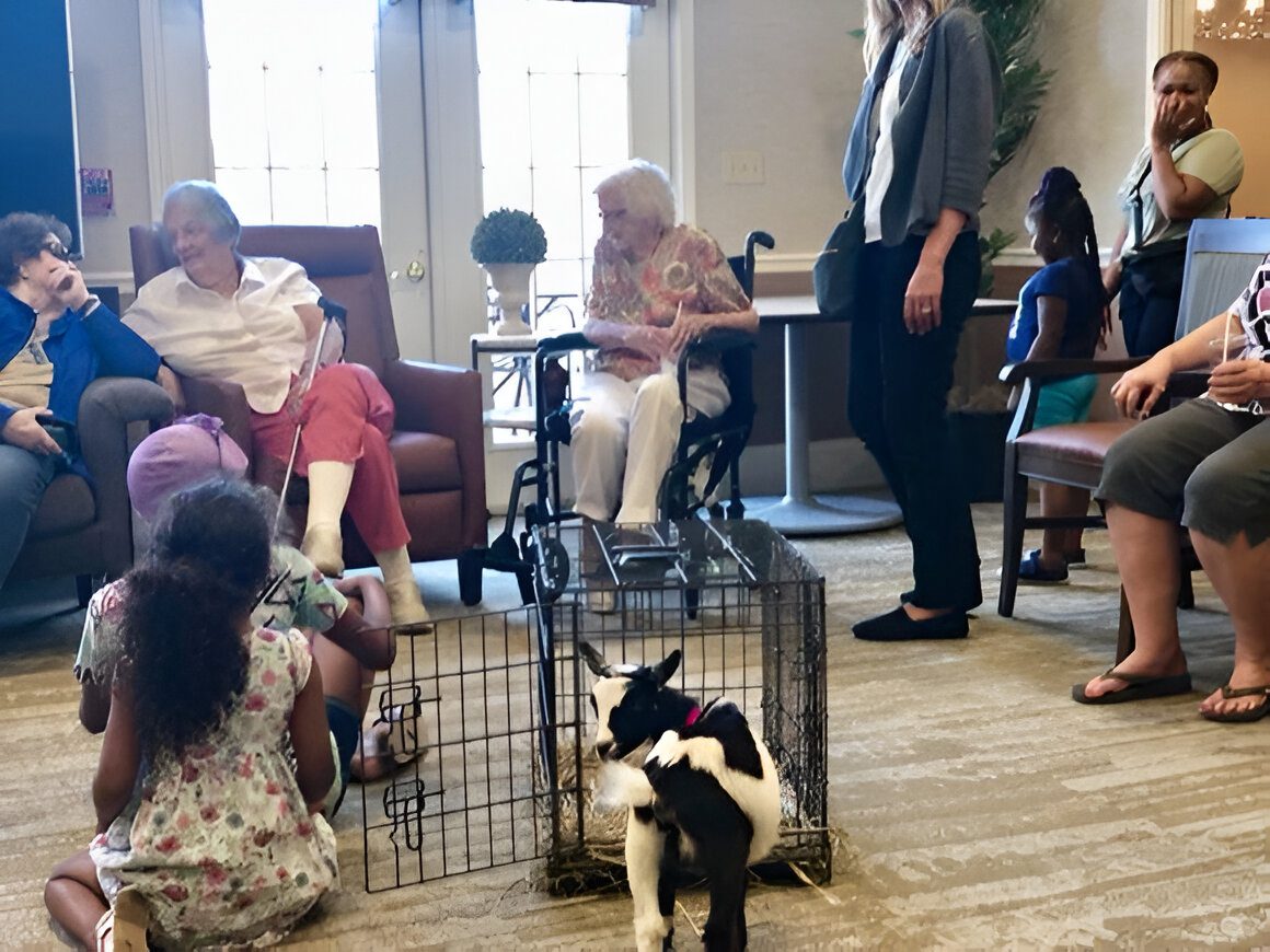 People are gathered in a room with an elderly woman in a wheelchair, surrounded by seated individuals and children. A small goat is in the foreground inside a metal pen.